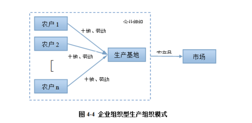 山東理工大學周濤 構(gòu)建高效一體化組織體系，保障我國城市蔬菜供應(yīng)鏈安全