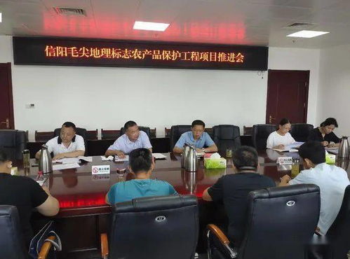 河南信陽召開毛尖地理標志保護推進會，筑牢產業發展根基
